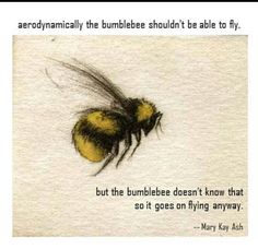 a quote from mary kay ash about the bumblebee and how it's done