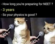 Neet Exam Jokes, Neet Exam Funny Quotes, Neet Aspirant Jokes, Physics Exam Funny, Funny Weird Quotes, Funny Exam Quotes, Funny Best Friend Quotes, Siblings Funny Quotes