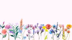 watercolor flowers and grass on a white background