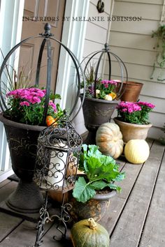 an assortment of plants and gourds on a porch