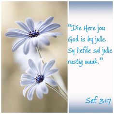 two blue flowers with the words, die here you god is by july