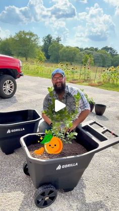 a man sitting in a wheelbarrow filled with plants