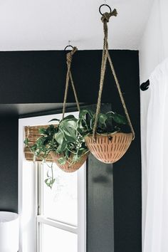 two hanging baskets with plants in them