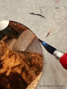 a cat sitting on top of a mirror next to a brush