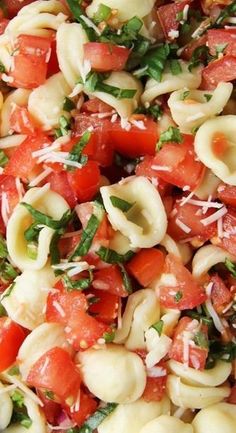 pasta salad with tomatoes and parmesan cheese