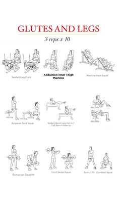 an exercise manual for the gym with instructions on how to do squats and legs