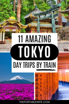 japan with the words 11 amazing tokyo day trips by train in front of mountains and trees