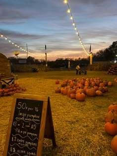 pumpkins on the ground with a chalkboard sign and string lights in the background