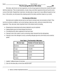 worksheet for the annotation of microeles and microelets