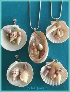 four seashell pendants with shells on them