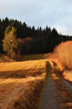 العصور الوسطى, Dirt Road, Lombok, Autumn Aesthetic, Nature Aesthetic, Pretty Places, Country Life, Belle Photo, Fall Vibes