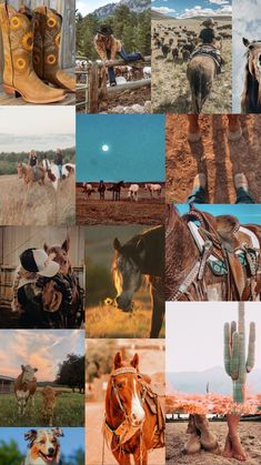 a collage of photos with horses, cowboy boots and cactus