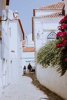 two people walking down an alley way with white buildings and red flowers in the foreground