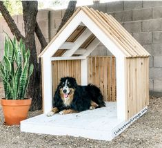 a black and white dog sitting in a small wooden house shaped like a doghouse