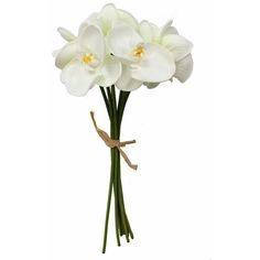 three white flowers are in a vase on the table, one is tied with a brown ribbon