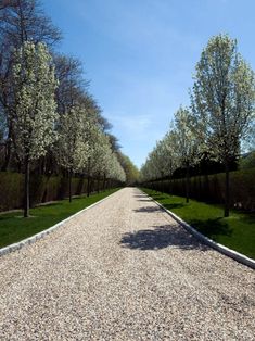 a gravel road lined with trees and bushes