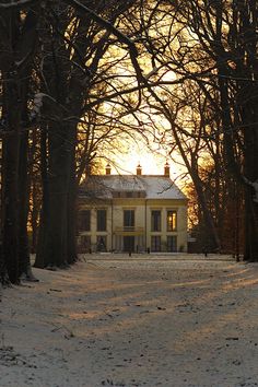 a large yellow house surrounded by trees in the middle of a snow covered park area