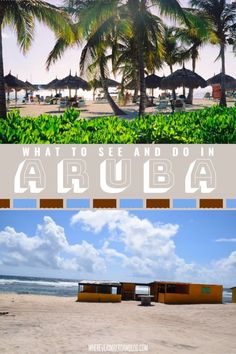 an image of what to see and do in arubaa, brazil with pictures of the beach