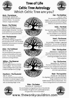 the tree of life is shown in black and white with an image of four trees on it