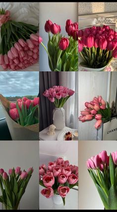 several pictures of pink tulips in vases