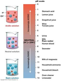 a diagram showing the different types of liquids