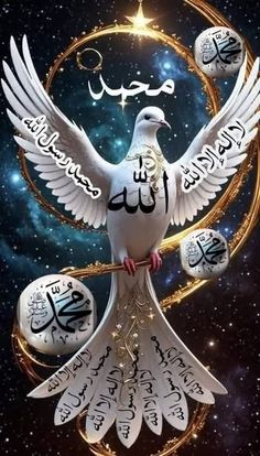 a white bird with arabic writing on it's wings and surrounded by stars in the background