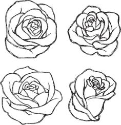 four roses drawn in black and white on a white background stock photo, royalty illustration