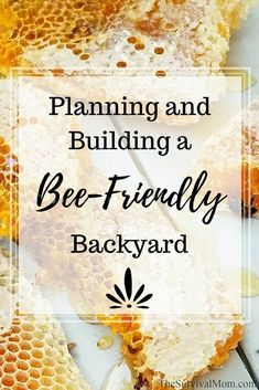 the words planning and building a bee - friendly backyard on top of honeycombs