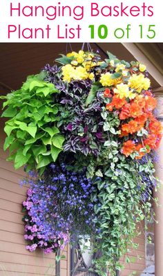 colorful flowers hanging from the side of a house