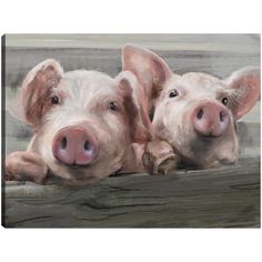 two pigs are laying down on a wooden bench looking at the camera with their eyes closed