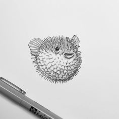 a drawing of a puffer fish on a white paper with a pen next to it