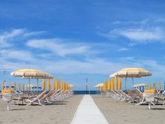 many chairs and umbrellas are lined up on the beach