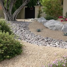 a garden with rocks and plants around it