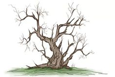 a drawing of a bare tree with no leaves on the ground in front of a white background