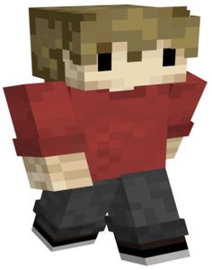 an image of a minecraft character