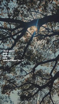 looking up at the branches of a tree with a quote on it that reads, you always look for your heart too