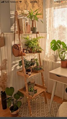 a living room filled with lots of plants next to a white desk and window sill