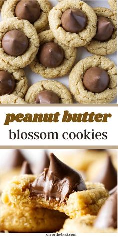 peanut butter blossom cookies with chocolate on top