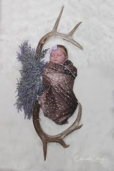 a baby wrapped in a blanket is laying on a deer's antlers head