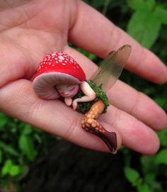 a hand holding a tiny red mushroom with a little fairy on it's back