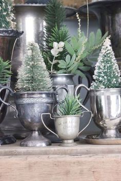 christmas trees are placed in silver cups on a shelf next to other pots and vases