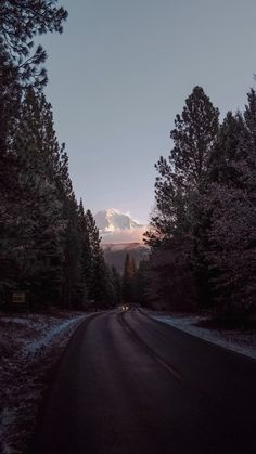 the road is lined with pine trees and snow covered mountains in the distance, at dusk