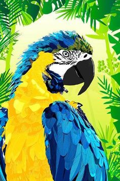 a blue and yellow parrot sitting on top of a lush green tree filled forest with lots of leaves