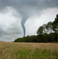 a tornado is seen in the sky over a grassy field with trees and grass on either side