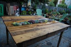 a wooden table with succulents on it in a backyard area next to a green lawn chair