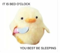 a stuffed duck with a pacifier in it's mouth and the caption, it is bed o'clock you best be sleeping