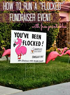 pink flamingos standing in front of a sign that says, how to run a flocked fundraiser event