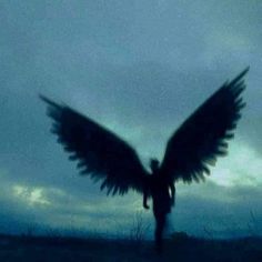 the silhouette of a person with large wings in front of a dark blue cloudy sky