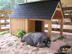 a hippo laying in the sand next to a small wooden house with a black roof