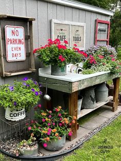 some potted plants are sitting on a shelf outside the shed with no parking signs above them